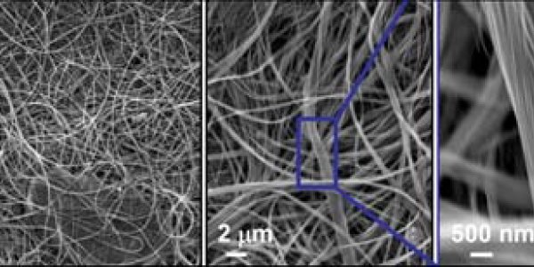 Nanowire Mesh Is A 'Paper Towel' For Oil Spills
