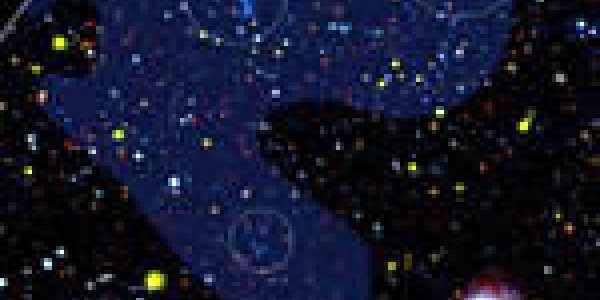 Astronomy Delight - New Stars From Leo Ring's Primordial Gas