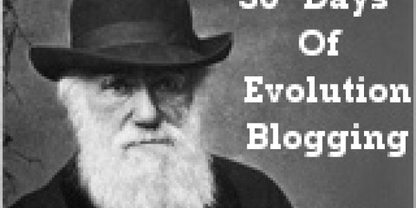 The Evolution Of Evolution