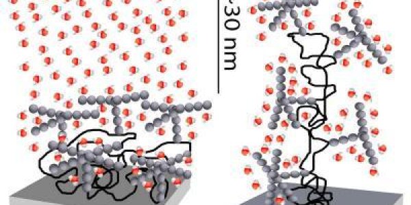 Sugar Molecule, You Have A Long-Distance Call