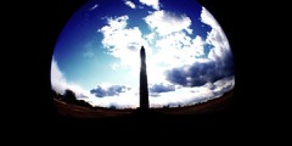 Terra Firma: Washington State Paleontology