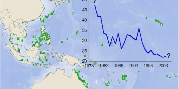 Indo-Pacific Coral Reefs Disappearing Quicker Than Expected