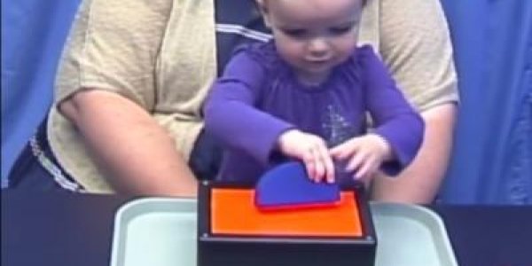 Toddlers And Their Intuitive Understanding Of Probability