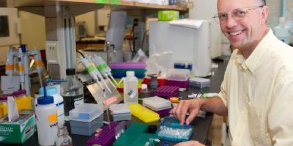 Molecules Assemble In Water - A Hint About The Origins Of Life?