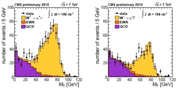 W And Z Boson Physics Results From CMS