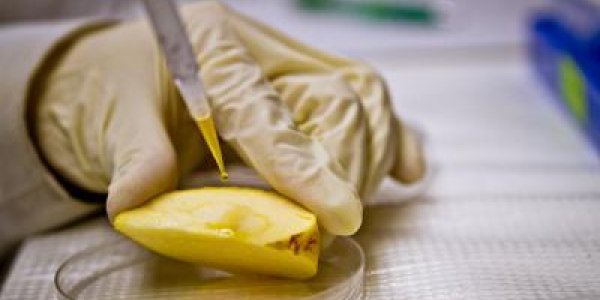 Toxic Nanoparticles May Already Be In Our Food Supply