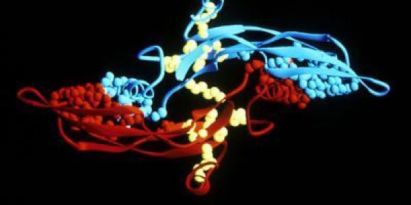 Faulty TGF-beta Genetic Pathway Implicated As The Root Of Allergies