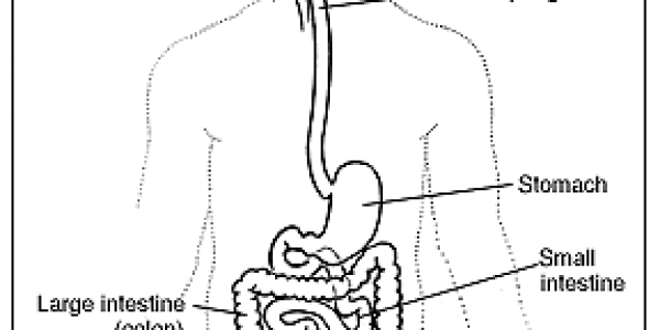 Probiotics Soothe Your Irritable Bowel
