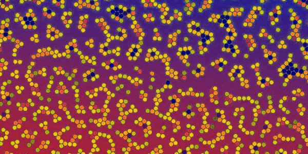 Cooking Up Altered States