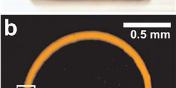 Chaos In A Coffee Stain