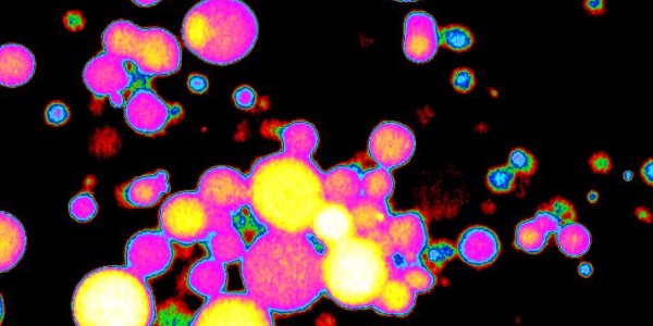 Life's Beginning: Cycling To Complexity