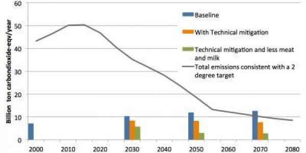 Vegetarian Advocates Say You Must Give Up Meat If You Care About Global Warming