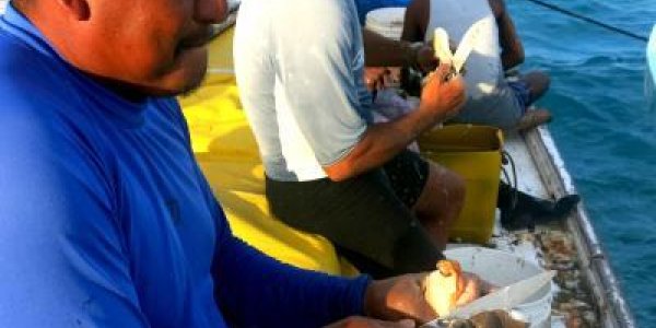 Over-Fished Populations Rebuild In Belize No-Take Zones