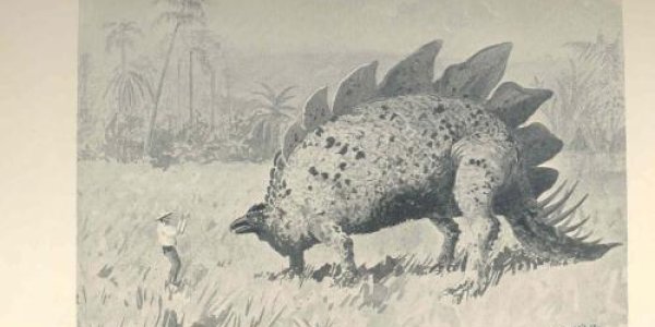 Fact Or Fiction - Did Dinosaurs Survive Cretaceous Extinction Event?