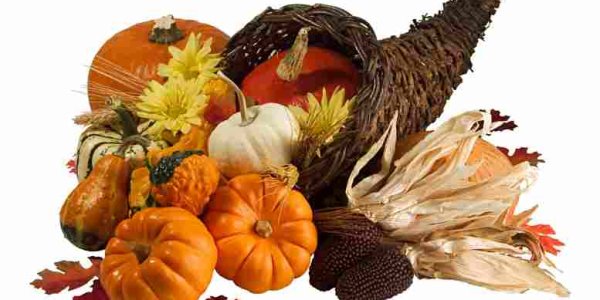 Science Shows You How To Make A Better Thanksgiving Turkey