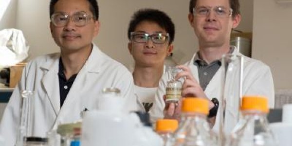 Volcano Plots, Goldilocks Effects And Using Palladium-Gold Nanoparticles To Clean Polluted Water