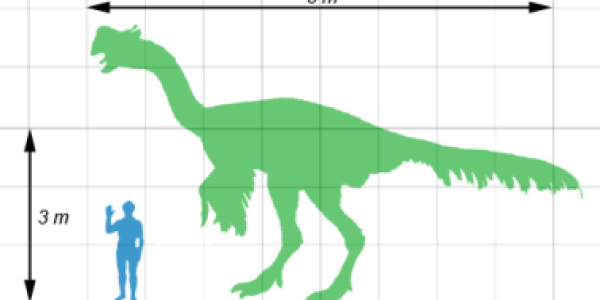 Mongolia's 70-Million Year Old Big Bird... And Sexy Gene Pool