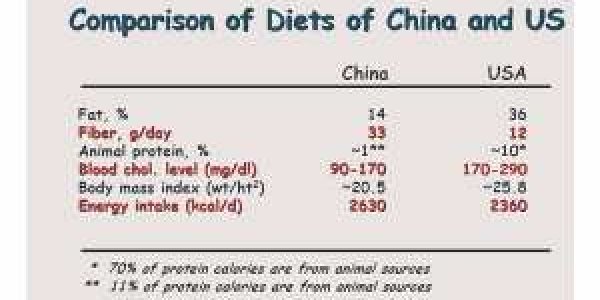 The Nutritional Factor in  Agricultural Development