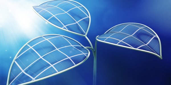 Artificial Photosynthesis, The Chromophore Way