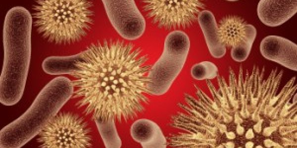 The Microbe “Brain” – Sensory, Neuronal, Attributes of Microbes