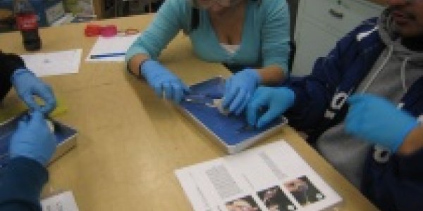 Annual Donors Choose Fundraiser: Help Support Science Education For Kids!