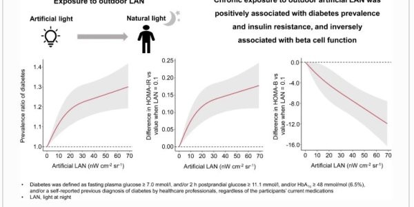 Light Causes Diabetes
