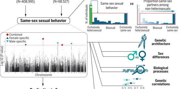 In Case You Still Thought It Was A Thing, Another Study Concludes There Is No "Gay" Gene