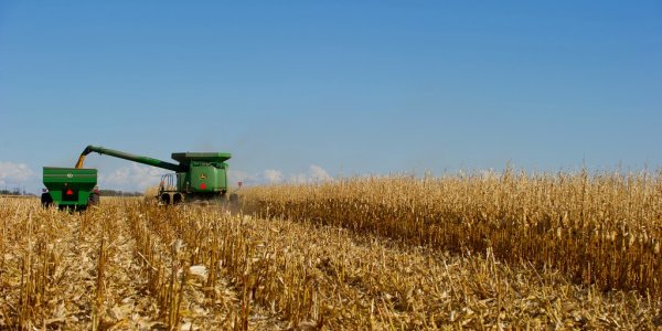 Do GMO Crops Foster Monocultures?
