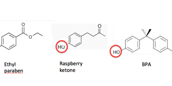 The Lizard Of Oz Takes His Own Medicine