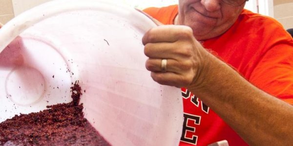 Another Reason To Drink Wine: It Could Help You Burn Fat