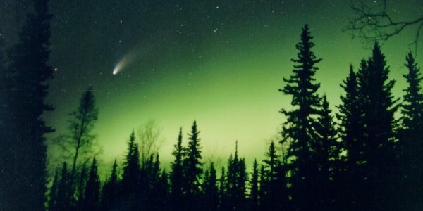 Create Light Pollution Awareness And See Some Stars - The Great World Wide Star Count