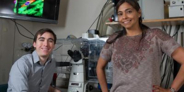 Ovarian Cancer Cells Are More Aggressive On Soft Tissues