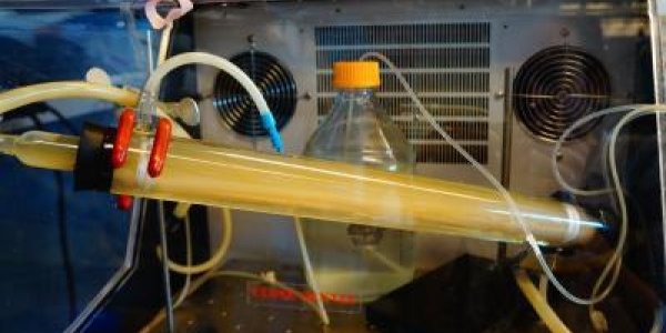 Colon Simulation Is A Crappy Job