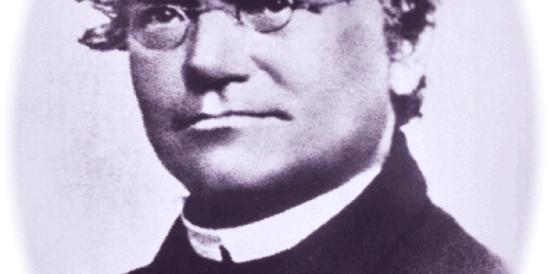 Blooming Botany (3A)