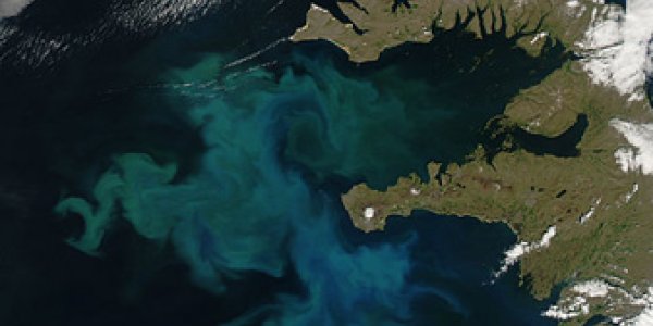 Arctic Ice July 2010 - Update #1