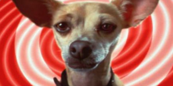 Health Halo: Taco Bell Removes Pointless Artificial ingredients From Junk Food