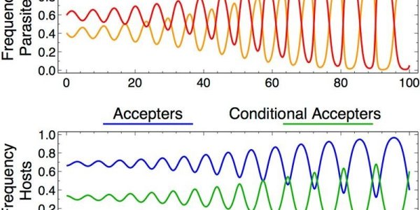 Cuckoo Mafia: Birds Raise The Young Of Others To Avoid Retaliation