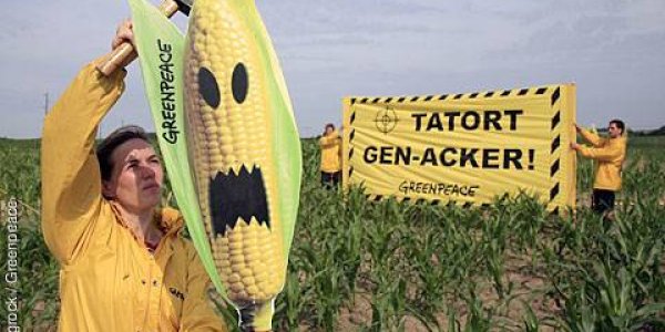 Not All Genetic Scientists Are Against GMO Labeling