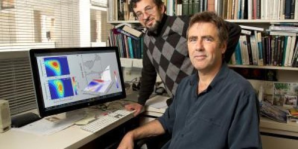 Your Brain Is Good At Math, Even If You Aren't