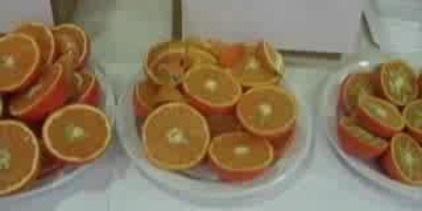 Part tangerine, part orange, part mandarin, all new fruit