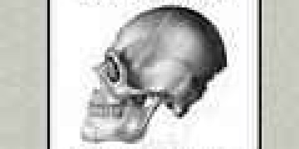 (Un)Biased?: Gould Vs. Morton