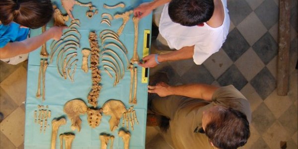 Italian Cemetery Provides Clues To Evolution Of Cholera