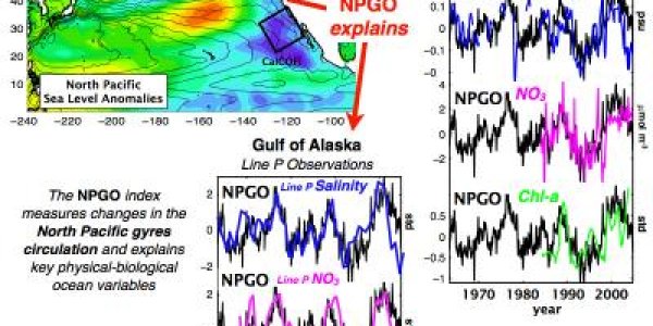 Welcome A New Ocean Current - The North Pacific Gyre Oscillation