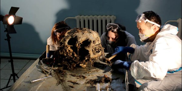 Mammoths: The Misunderstood Giants