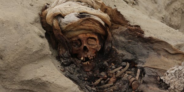 Peru: Chimu Culture Find Reveals Largest Child Sacrifice Rituals Ever