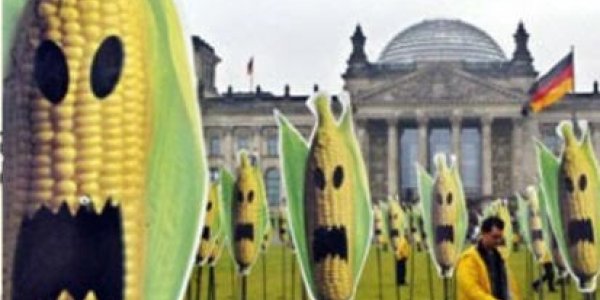 The Mercenary Intent Behind Proposition 37's GM Food Labeling