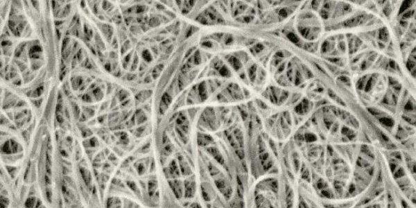 Carbon For Archimedes (2)