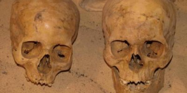 Want To Die Young? Be An Elite In Ancient Egypt