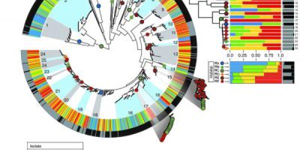 Lifestyle Groups And Ecological Niches In Marine Bacteria