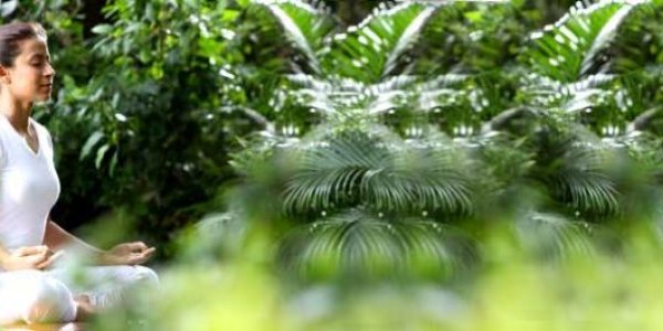 Will Value Based Education bring down crime rates across the world?